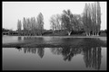 Foginovo - sla&hellip;