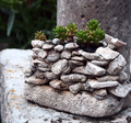 Makro mini pri&hellip;