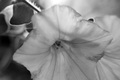 macro trubica &hellip;