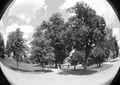 Promenada I fi&hellip;