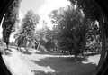 Promenada IV f&hellip;