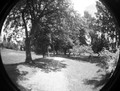 Promenada V fi&hellip;
