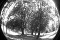 Promenada VI f&hellip;