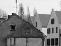 Staracki i kuc&hellip;