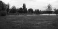 Skakaonica i m&hellip;