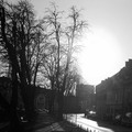 U spomen drvec&hellip;