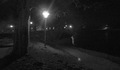 Foginovo i lam&hellip;