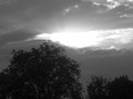 Drvo i Sunce H&hellip;