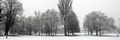 Panorama drvec&hellip;