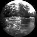 Slap Fisheye I&hellip;