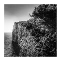 Telascica - kl&hellip;