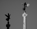 non voglio mic&hellip;