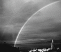 rainbow disclo&hellip;