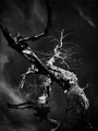 Sculpture of T&hellip;