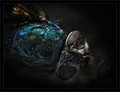 Sacrifice for &hellip;