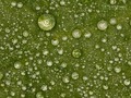 Macro universe