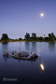 Moonlight mood&hellip;