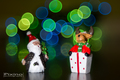 Holiday circle&hellip;