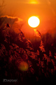 Sunset and che&hellip;