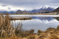 "Maori La&hellip;