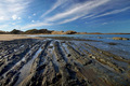 Castle Point L&hellip;