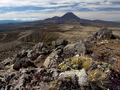 Volcanic Plate&hellip;