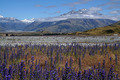 Rangitata Vall&hellip;