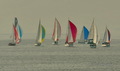regata...