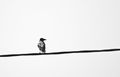 From nowhere t&hellip;