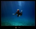 Diver