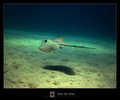 Into the blue