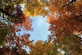 autumn way up &hellip;
