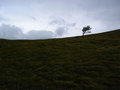 I stand alone.&hellip;