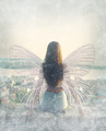Afraid to fly