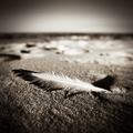 Omaha beach...&hellip;
