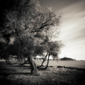 Out of Rovinj.&hellip;