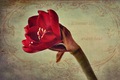  L'amour &hellip;