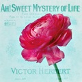 sweet mystery &hellip;