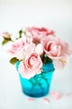 little pink ro&hellip;
