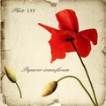 papaver somnif&hellip;