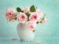 little pink ro&hellip;