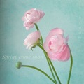 spring come so&hellip;