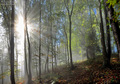 Napokon sunce!&hellip;