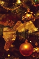 Holidays are c&hellip;