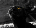 Hallo(ween) ki&hellip;