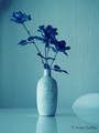 Fake blue flow&hellip;