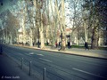 Walking trough&hellip;