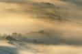 Jutro Plešivič&hellip;
