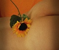 Na me se naslo&hellip;