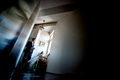 Light in the d&hellip;
